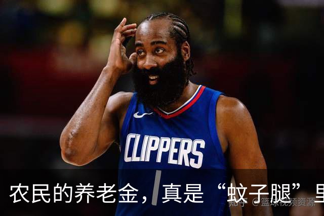 农民的养老金，真是“蚊子腿”里的大人生！